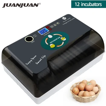

Egg Incubator Hatchery Farm Hatchery Incubator Brooder Machine Full Automatic Incubator 12 Egg Quail Goose Brooder 50%off