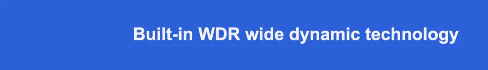 Built-in WDR wide dynamic technology标题
