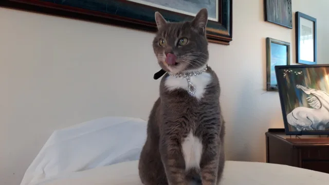 Ubddc93c225da496bab3d