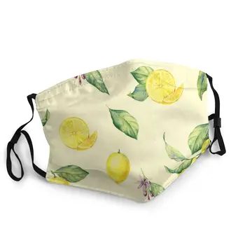 

Lemon Fruit Adult Non-Disposable Face Mask Fruit Anti Haze Smog Dust Mask Windproof Protection Mask Respirator Mouth Muffle