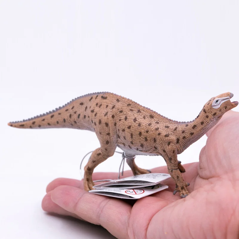 Collecta先史時代の動物恐竜fukuisaurus-1:40 スケール子供の