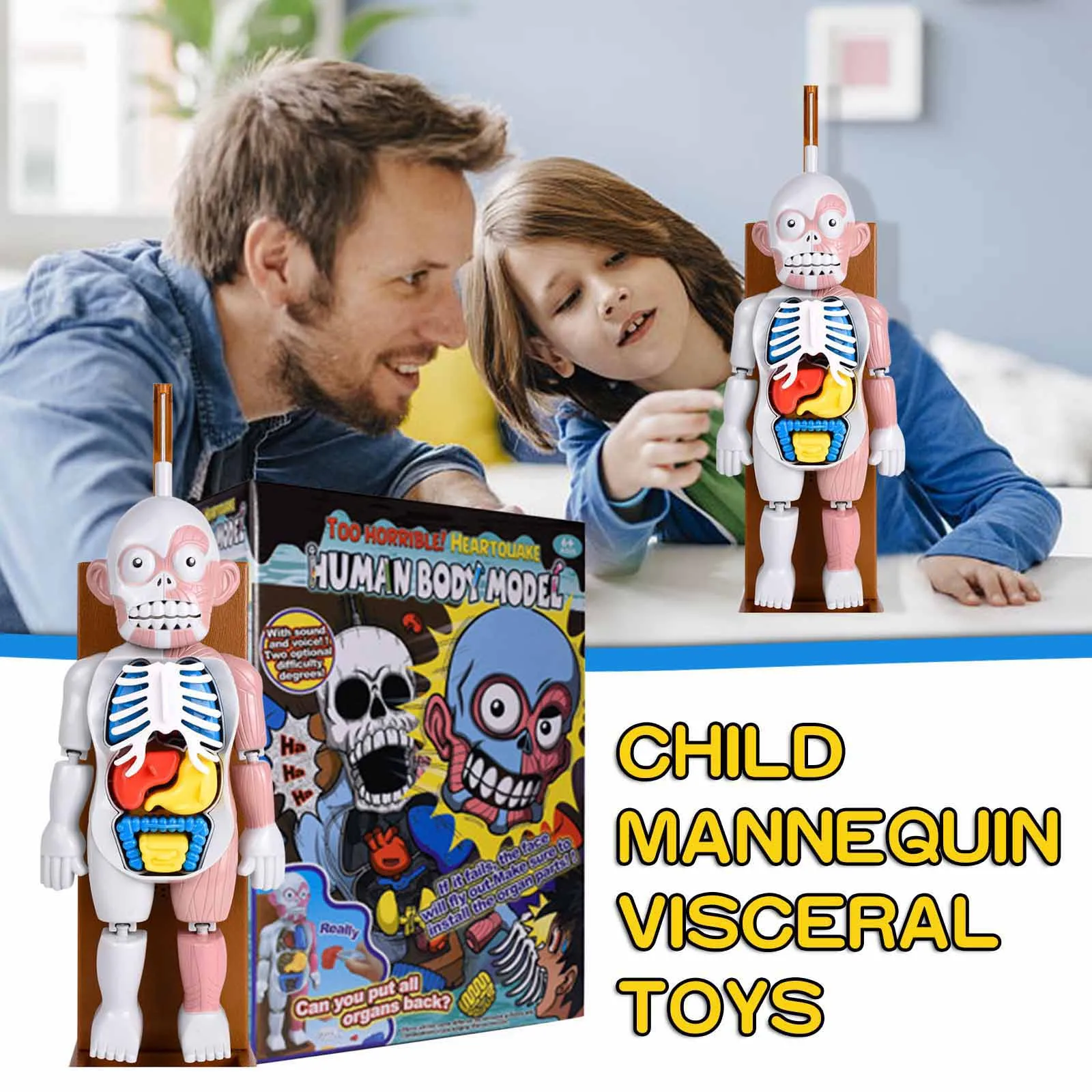 human body educational toys
