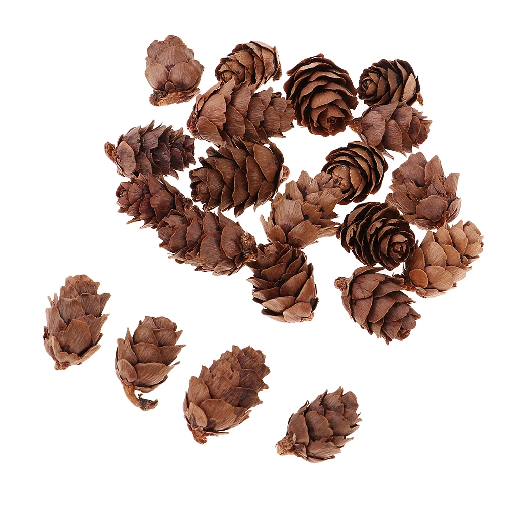 50pcs Small Real Natural Pine Cones For Wedding Xmas Party Hanging Decoration Home Room Cafe Ornament Photo Prop
