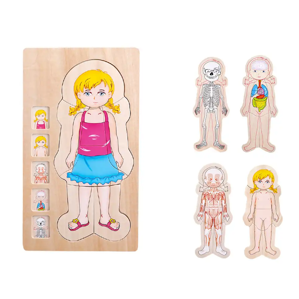 Giocattoli Educativi Per Bambini Montessori Puzzle In Legno Per Il Corpo Umano Ragazzi Ragazze Struttura Del Corpo Puzzle Per Bambini Giocattoli Per Bambini Puzzle Aliexpress