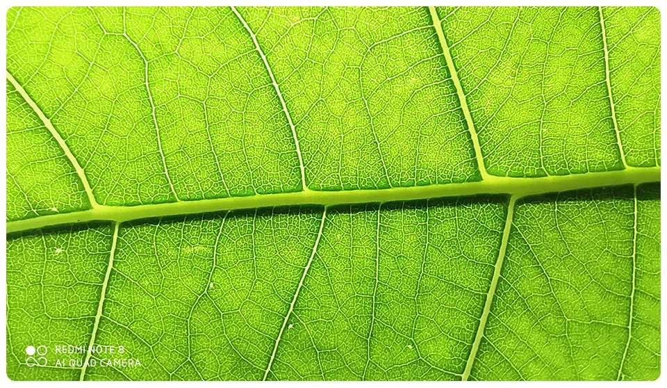 详情_11