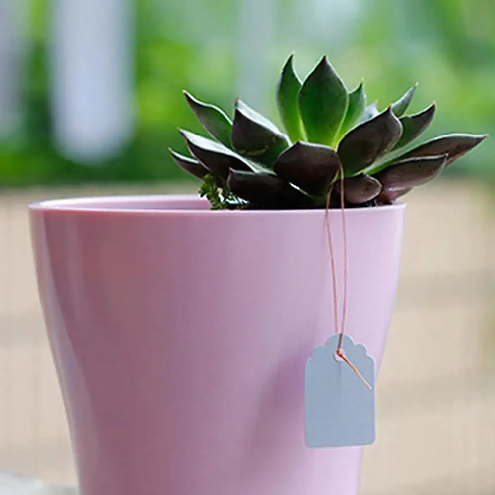 Garden Labels 100 Pcs Plastic Waterproof Plant Name Tags Strip Line Gardening Labels Signs Mark Tools Flower Shop Garden Accessories