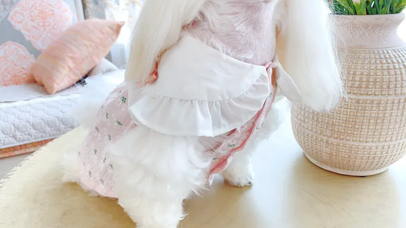dress2 (1)