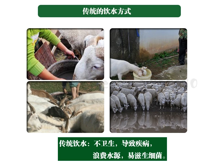 Оборудование для выращивания овец в пластиковом корыте, корыте