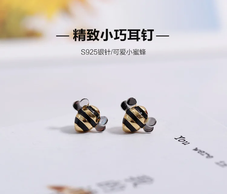 4286266382_642999821