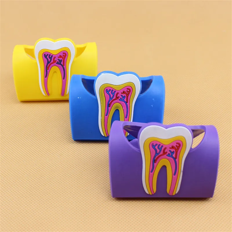 

1pcs Cute Dental Card Holder Colorful Rubber Teeth Molar Shape Phone Card Name Storage Dsiaply Stand For Clinic Dentist Gift