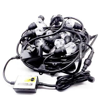 

LED GARLAND EXTERIOR WITH CONTROLLER AND REMOTE