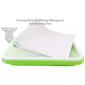 

Hydroponics Seedling Tray Double Layers Seed Planting Sprout Plate Vegetable Nursery Grow Tray