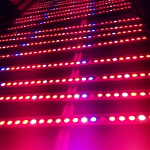 

LED Lights Full spectrum LED Grow Light Hydroponics Grow System LED Grow Light Grow Bar for indoor Gardening