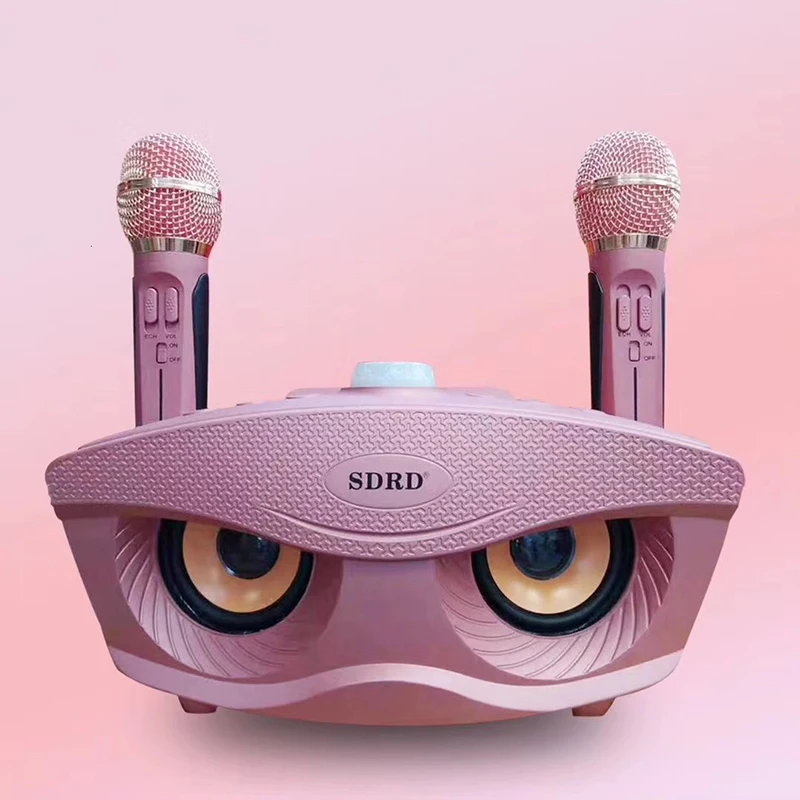 SD306 Dual Bluetooth Speaker sd306 karaoke speaker