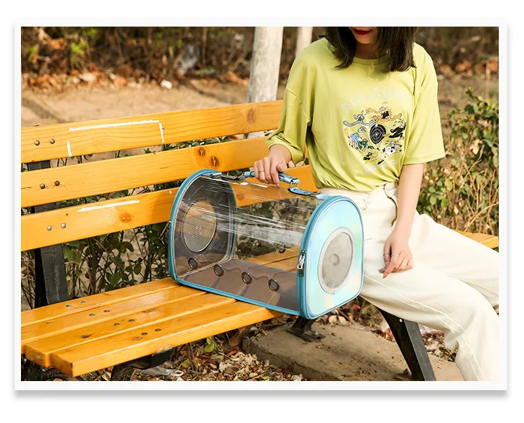 11115647662_345777210