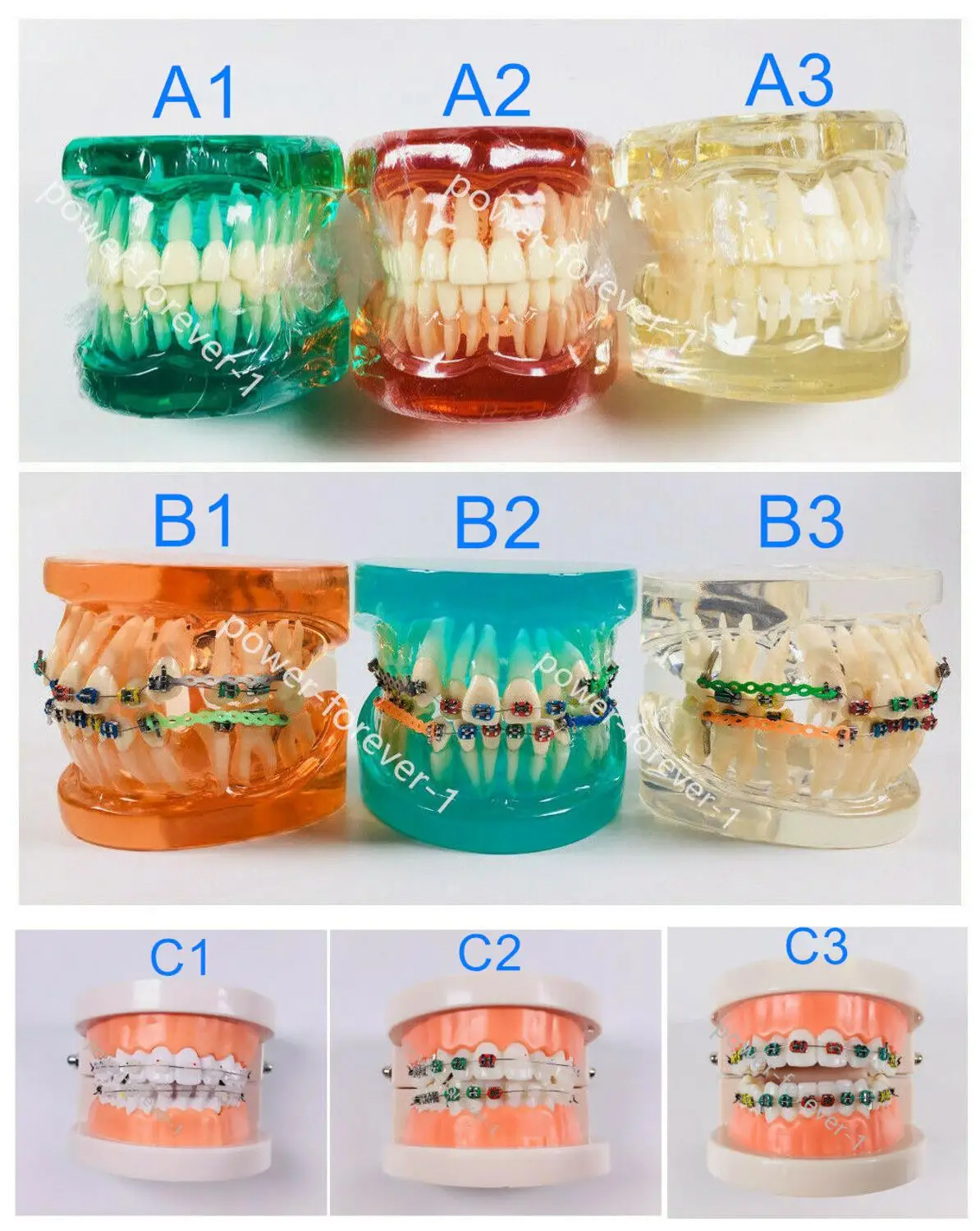 

1 Piece Dental Model Study Typodont Standard Orthodontic Brackets Wires Tie Anchor Screw Dentist School Training