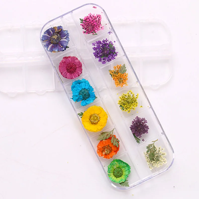 Лучшие натуральные высушенные цветы 3D дизайн дизайна ногтей советы из серии «сделай сам» Маникюр 12 цветов Мода QQ99