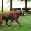 Hf9e6eea792e64992969b6931b12d24cb7.jpg CAITEC Dog Toys Football for Dogs Floatable Squeaky Hard and Firm Fit for Outdoor Throwing Suitable for Medium to Large Dogs