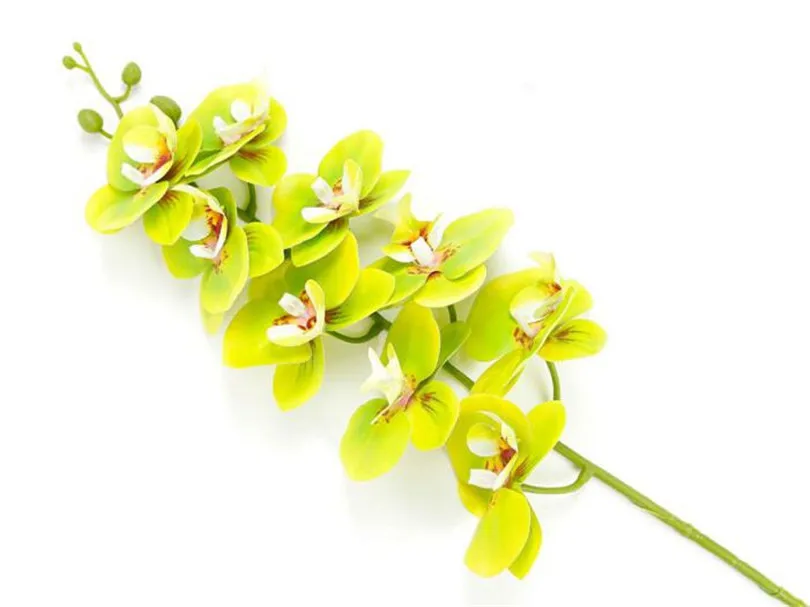 Один Искусственный Мотылек Орхидеи цветы Настоящее прикосновение латекс высокое качество Бабочка орхидеи стволовых растений центральный Силиконовые Цветы - Цвет: Зеленый