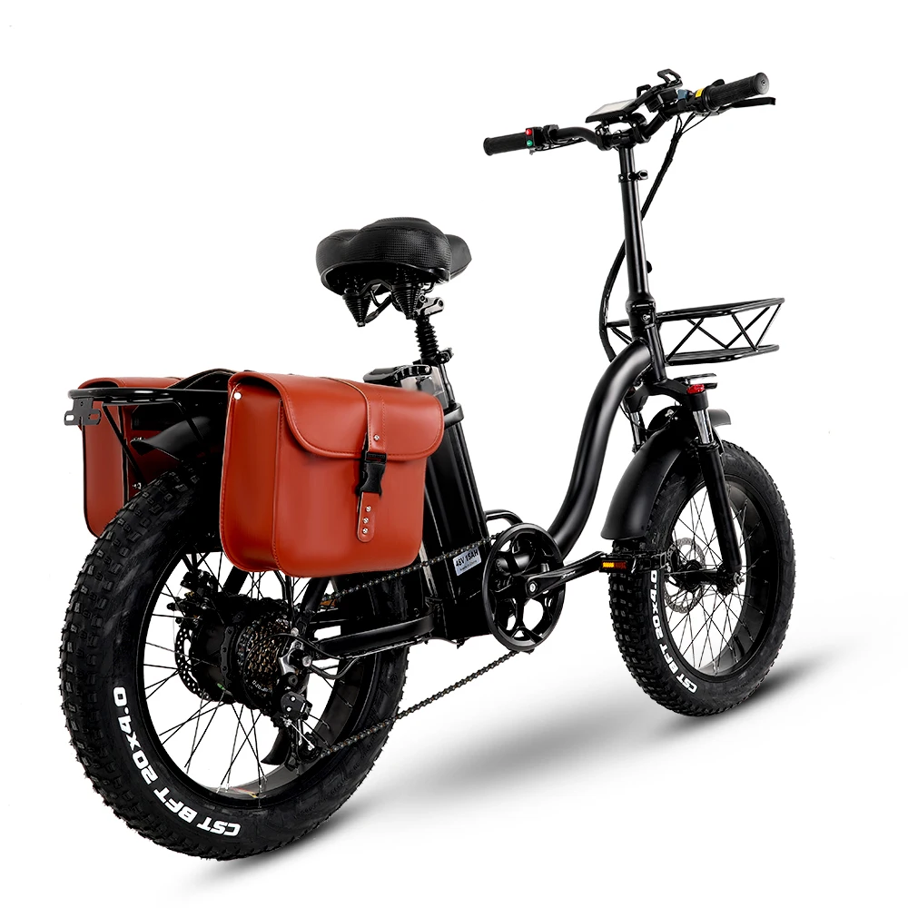 Powerful 750W 48V 12.8ah Electric Bike Adult Bicycle Snow Mountain 20 Inch Folding Fat Tyre Ebike For Man Women 2