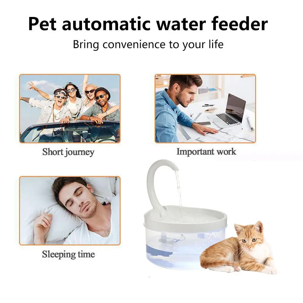 alimentadores automáticos para gatos