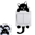 002 Cat