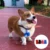 21 шт Разлагаемый Pet Dog Waste Poop Bag С печатью Doggy Bag Разлагаемый Pet Waste Clean Poop Bag Dog Up Clean Bag Dispenser