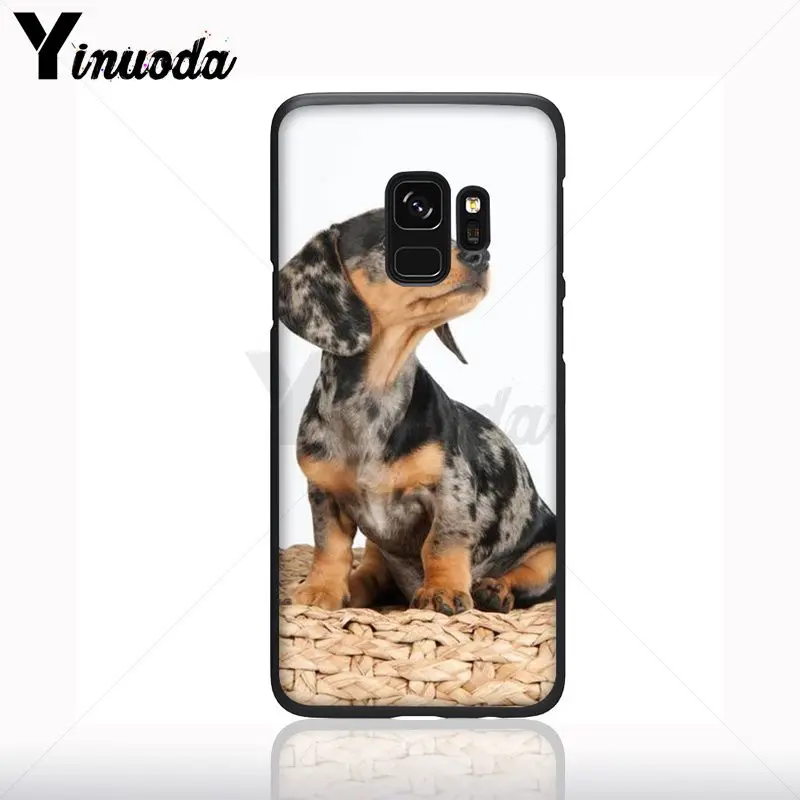 Dachshund Siluet Anjing Silikon Hitam Lembut Ponsel Case untuk Samsung Galaxy S10plus S9 S8plus S10e A50 A70 A10 Ponsel