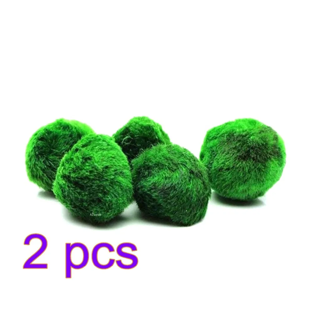 

2pcs PETFORU Seaweed Algae Ball Aquarium Decor Ornament Water Cultivation Plants Decorative Algae Aquarium Decoration Ornament