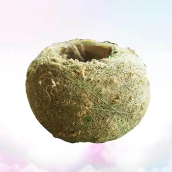 

5pcs Moss Planter Lightweight Practical Durable Creative Flower Pot Moss Planter for Co-worker Friends