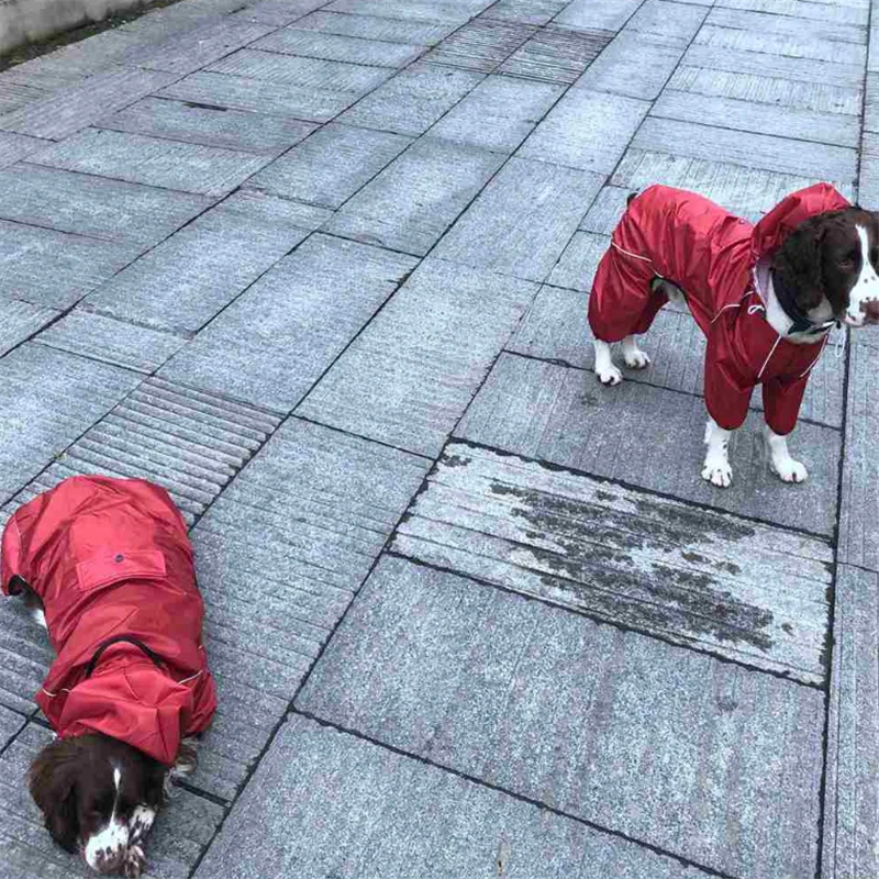 QQ截图20200423120124