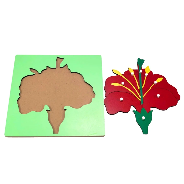 Details about   Montessori Zoology Botany Materials 8 Plywood Knob Puzzles for Toddler Early 