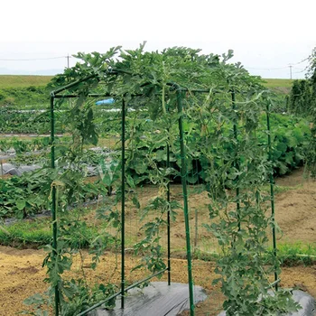 

3pcs Network Gardening Fruit Vines Flower Petunia Climbing Net Cucumber Bush Gourd Vines Net (Green 1.8x3.6m)