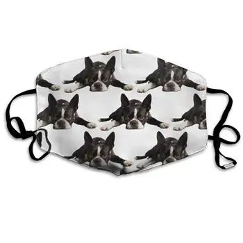 

Garde Art Studio Washable Recycling Mouth Masks, Healthy Durable Polyester & Anti Dust Half Face Masks, Cute Funny Boston