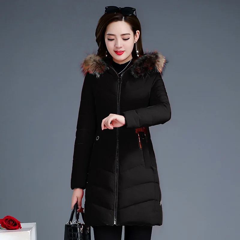 

2019 Winter New Style Elegant Versatile Hooded Cotton Overcoat Women's Slim Fit Slimming down Jacket Cotton-padded Clothes Cotto