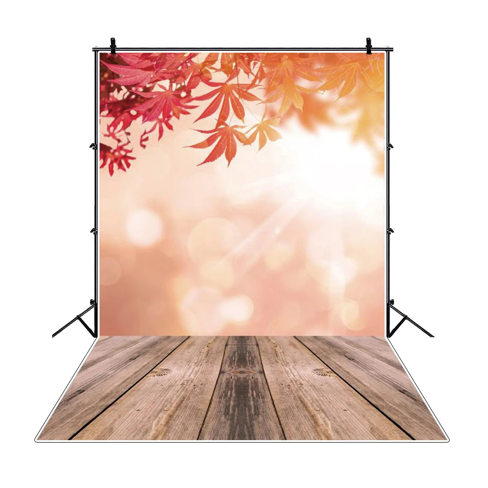 Laeacco   Bokeh   κ ٴ ޲ٴ   ,  Ʃ  