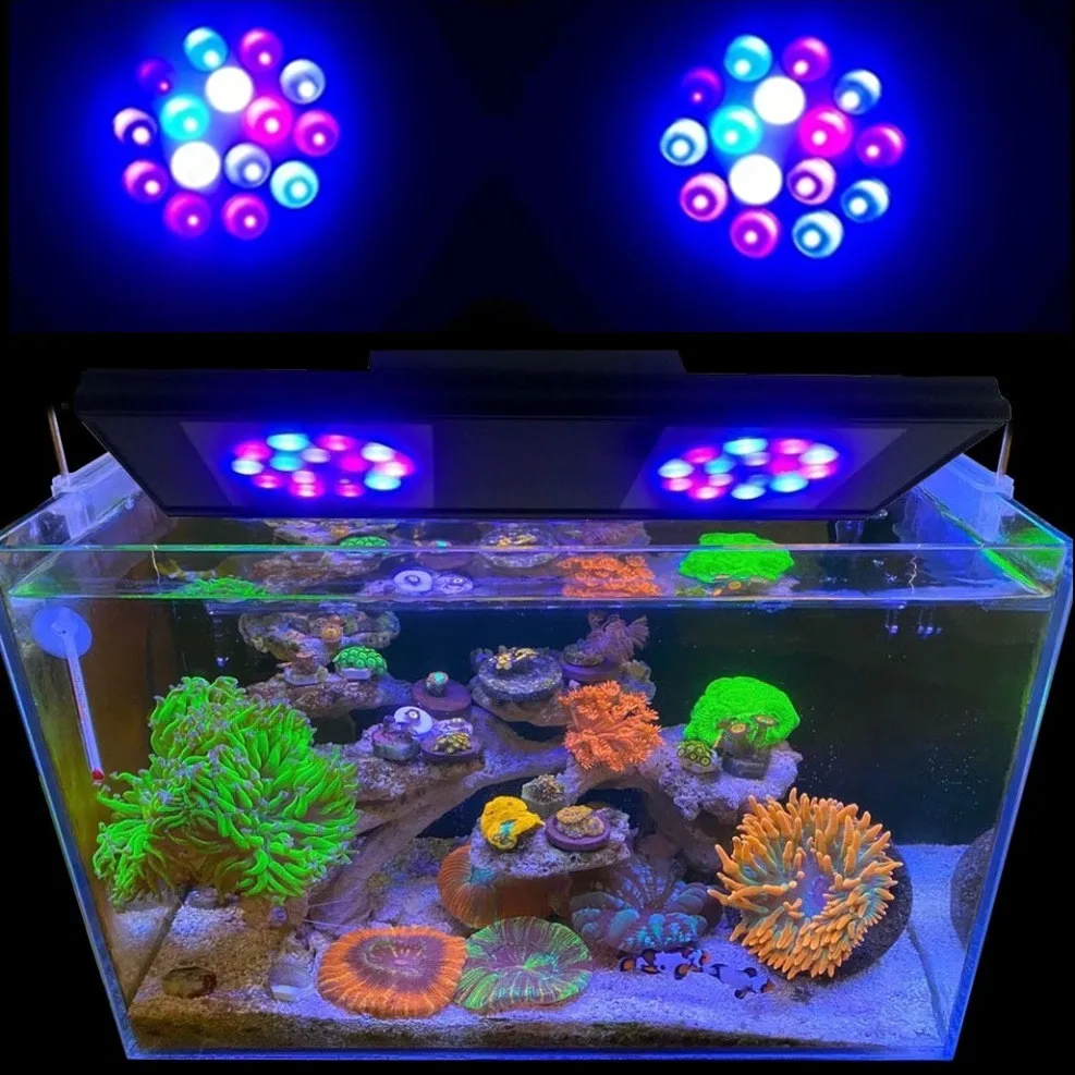 Lampe LED pour Aquarium de Poissons d'Eau Douce, Plante Vivante, Bar d'Eau  Salée, Précieux, Vente en Gros - AliExpress