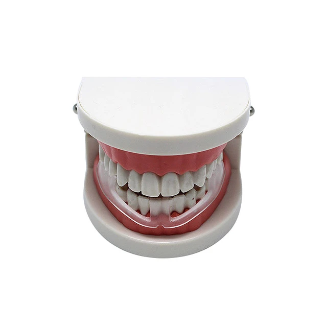 Aparatos antimolares de silicona Protector de dientes para dormir Protector  bucal para evitar el rechinamiento de dientes para adultos