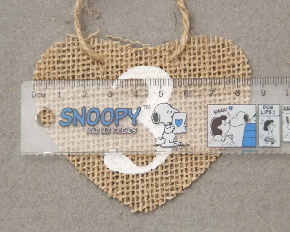 71qc6ZLKKWL._AC_SL1000_