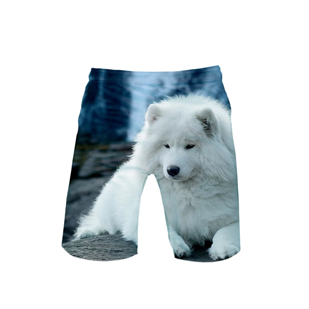 Samoyed 3D шорты летние быстросохнущие пляжные мужские шорты хип хоп бермуды плавающие шорты мужские