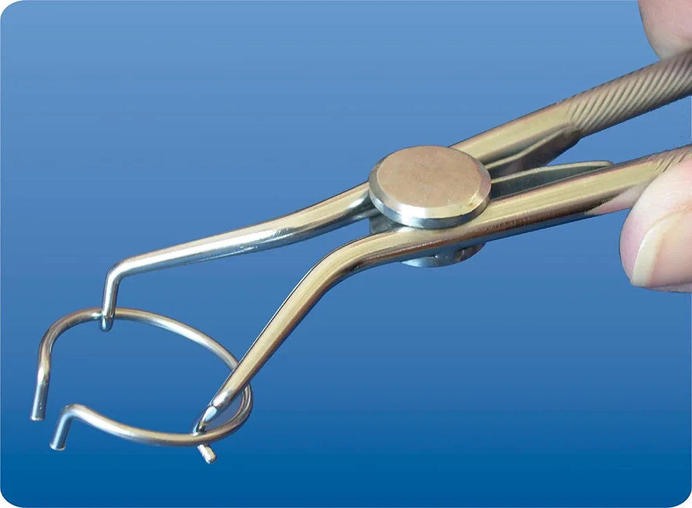 61HMtavNrFL._SL1500_