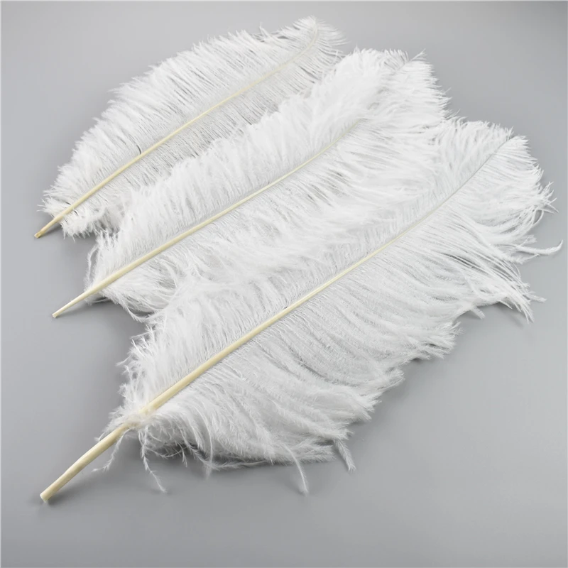 Wholesale Beautiful White Ostrich Feathers Bulk 15-55cm Diy Crafts Wedding  Party Dress Handmade Home Decor Lamp Plumes Accessory - AliExpress