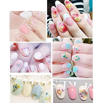 

12 Colors Nail Art Real Natural Petal Dry Dried Flower 3d Uv Hot Effect Decor Gel Decorations For Nail Nail Tips Selling Sa J5W4