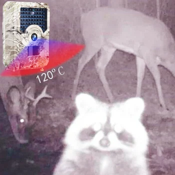

1 Set outdor Camouflage 12MP Camera photo Video Recording Motion Activated Security Wildlife Cam Practice Hunting tools