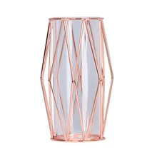 Inserter Роскошная Скандинавская стеклянная ваза настольная домашняя Гидропоника растения прозрачные простые офисные металлические украшения для полки украшения