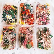 Лидер продаж, 1 коробка, смешанные консервированные искусственные сушеные Цветочные растения, сделай сам, свечи из смолы, украшения для украшения, праздничные вечерние принадлежности