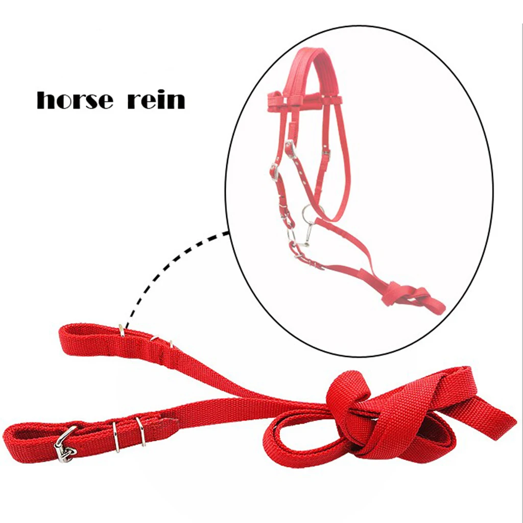 Horse Bridle Horse Rein Headstall Thickened Halter Equestrian Accessories Removable Snaffle Nylon Webbing Horse Riding Equipment