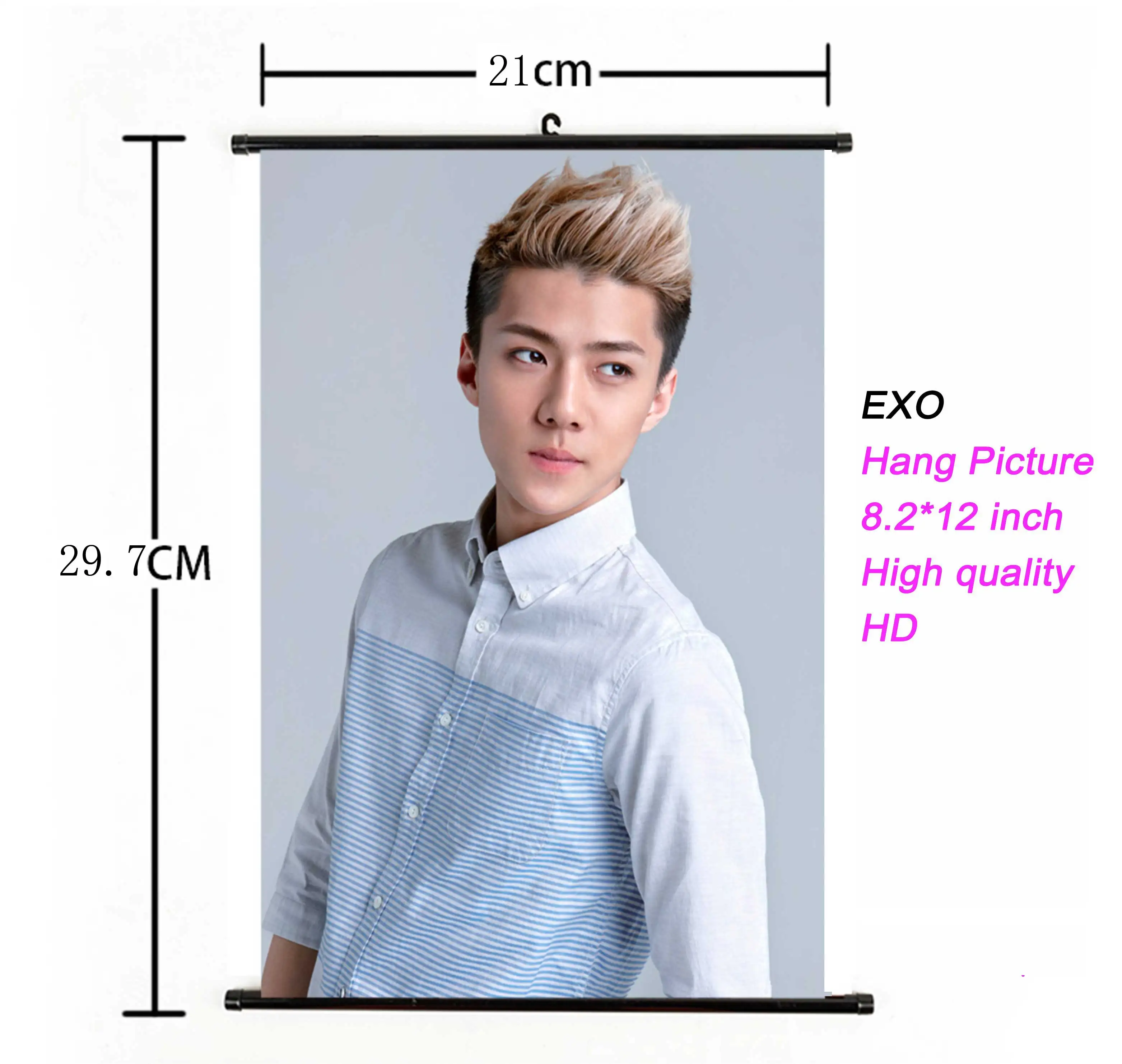 Свернутый Свиток Kpop EXO висячий плакат ткань 21*30 см для фанатов Подарочная коллекция k-pop EXO альбом Висячие фото плакат