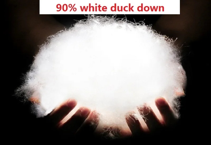 10285378813_1886128476