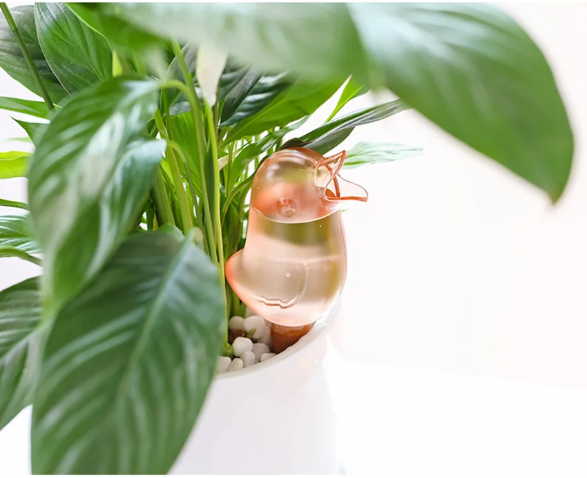 O1CN01caQdSK1bHYwYL2uy8_!!50983440